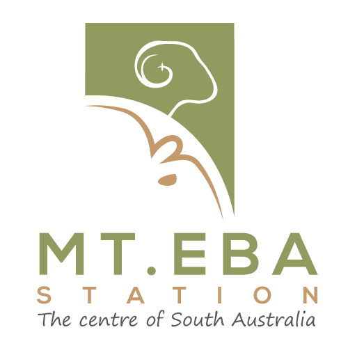 Mt Eba Station - The Centre of South Australia