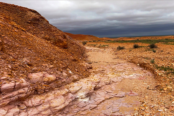 Plenty of 4-wheel-driving tracks around Mt Eba Station