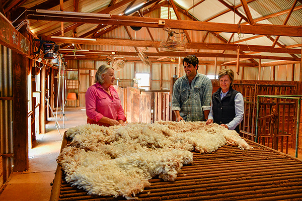 Explore the Mt Eba working shearing sheds