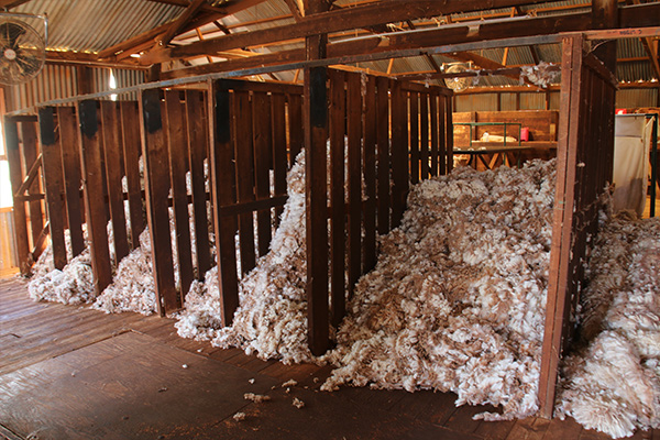 Explore the Mt Eba working shearing sheds